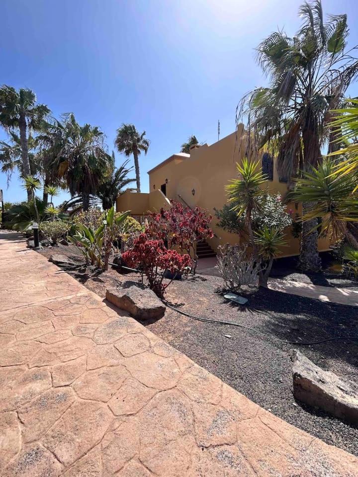 Sun & Sea Apartment In Corralejo Ngoại thất bức ảnh